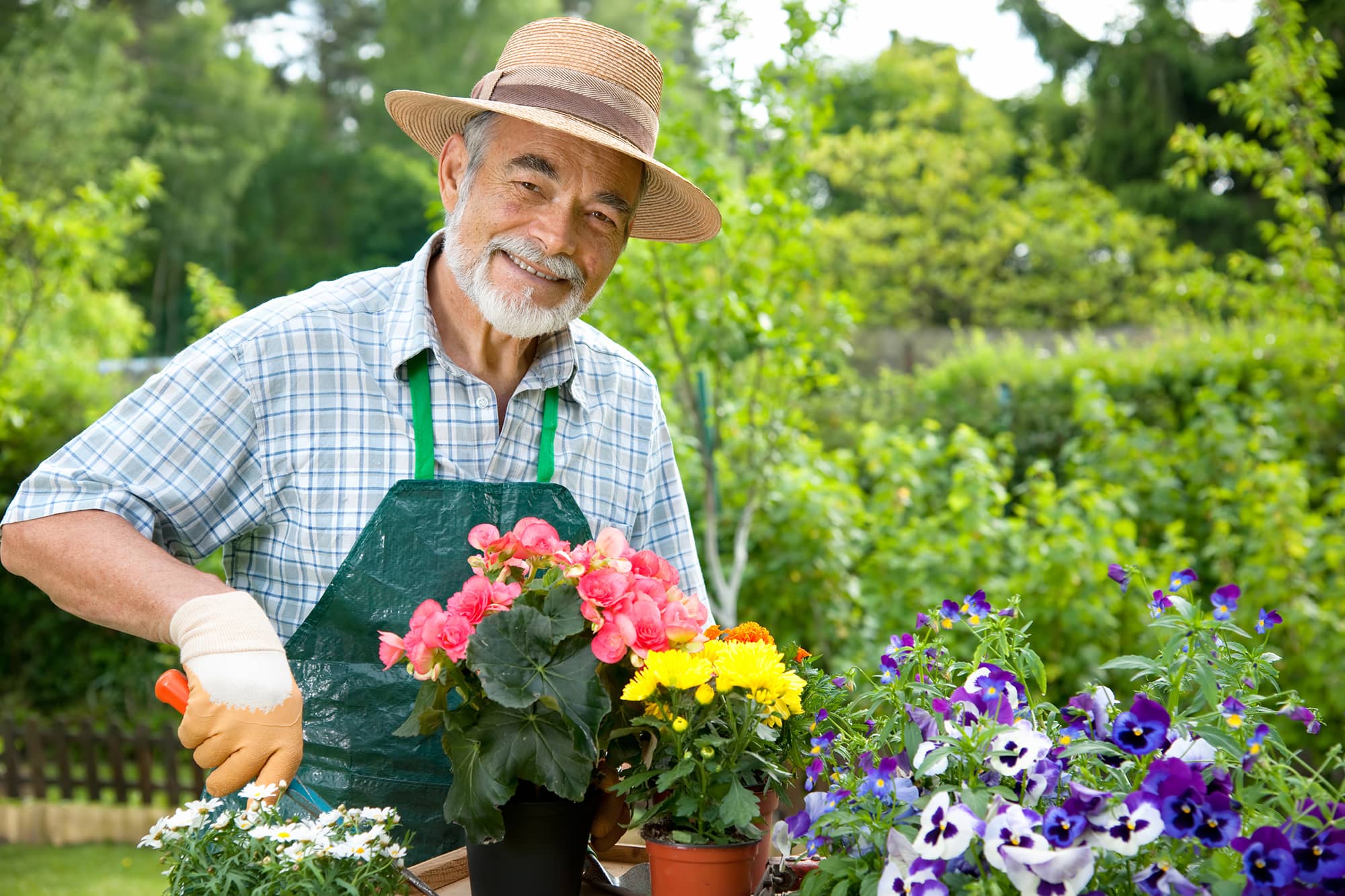 Nurturing the Mental Health of Seniors